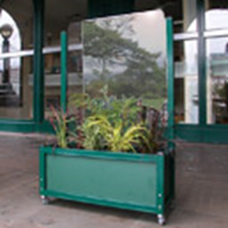 flower green box with glass divider attached